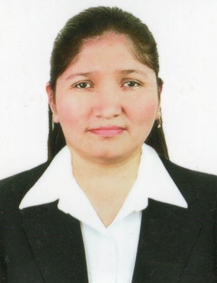 Víctor Guillermo Villar Paredes